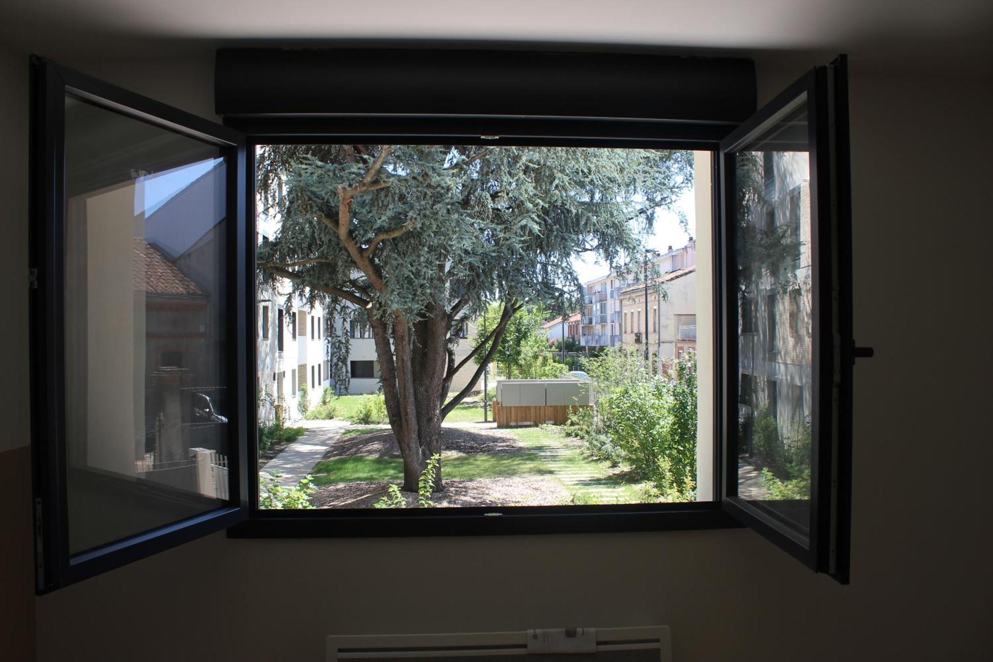 טולוז Elegante Maison De Ville Renovee מראה חיצוני תמונה